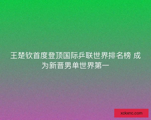 王楚钦首度登顶国际乒联世界排名榜 成为新晋男单世界第一