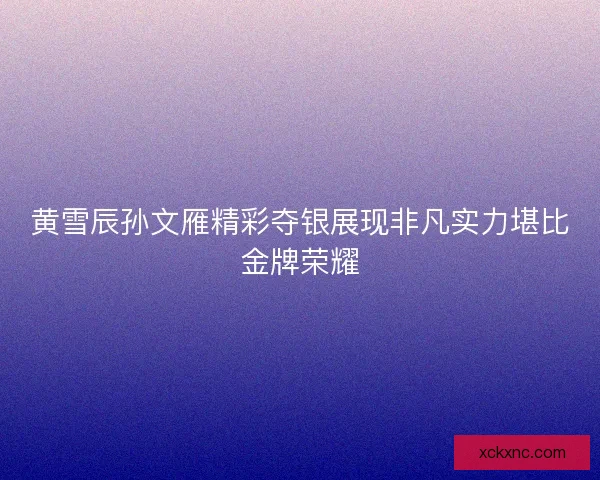 黄雪辰孙文雁精彩夺银展现非凡实力堪比金牌荣耀