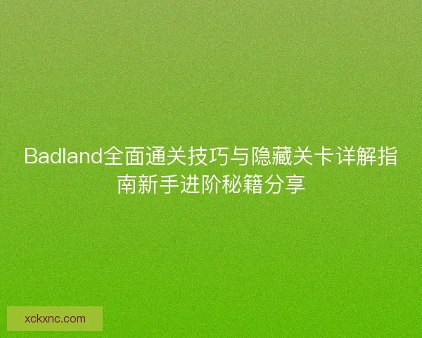 Badland全面通关技巧与隐藏关卡详解指南新手进阶秘籍分享