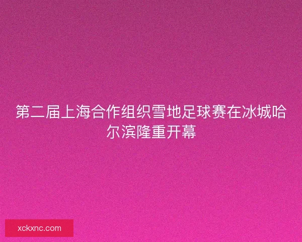 第二届上海合作组织雪地足球赛在冰城哈尔滨隆重开幕